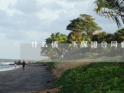 什么情況下保證合同會無效？